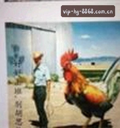 李少
